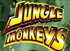 Jungle-Monkeys